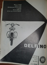 Moto motom delfino usato  Pinerolo