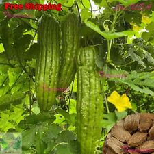 Vietnam bitter gourd for sale  Ontario