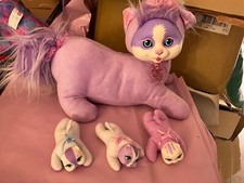 Kitty surprise purple for sale  CHEDDAR
