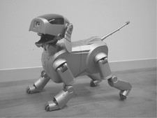 Aibo ers 110 for sale  Frankfort