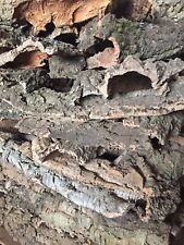 Corteccia sughero non usato  Barletta