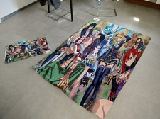 manga bettwasche gebraucht kaufen  Erolzheim