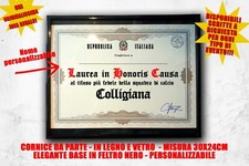 Laurea quadro tifoso usato  Italia