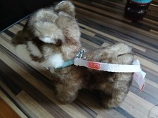 husky puppies for sale husky puppies for sale NOTTINGHAM