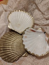 Scallop shell trinket for sale  RADSTOCK