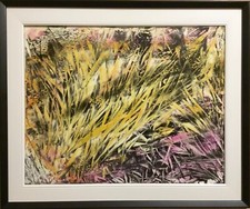 Quadro natura dipinto usato  Novara