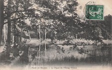 Trivaux pond meudon d'occasion  Expédié en Belgium