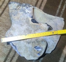 geolino steinzeit gebraucht kaufen geolino steinzeit gebraucht kaufen Schleswig