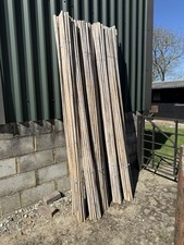 Bamboo canes 8ft for sale  ROBERTSBRIDGE