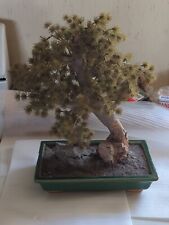 Artificial bonsai tree for sale  Menominee