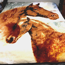 Luxury horses queen for sale  Moorhead