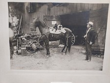 Dogs horse back for sale  Shawmut