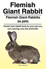 Flemish giant rabbit. for sale  USA