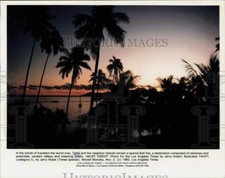 1992 Press Photo silhuetas pôr do sol palmeiras na ilha do Taiti - tuw06608 comprar usado  Enviando para Brazil