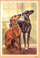 Vintage whippet print for sale  Harborton