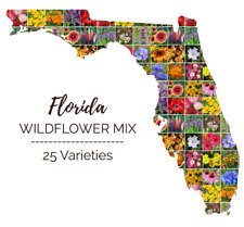 Wildflower mix florida for sale  Sevierville