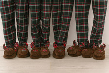 Adult brown reindeer for sale  RUGBY