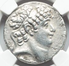 Huge tetradrachm seleucid for sale  Lawton