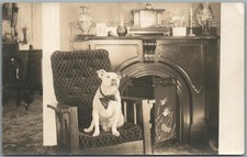 Bulldog home interior for sale  New Hope