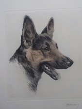 Kurt meyer eberhardt gebraucht kaufen  Deutschland