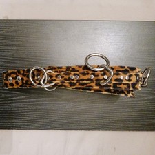 Dogpile punkrock bondage gebraucht kaufen  Biederitz