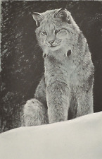 Robert bateman snowy for sale  Bellevue