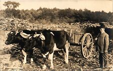 CARRINHO BOX foto real cartão postal rppc CHESTERFIELD MASSACHUSETTS MA campo de detritos comprar usado  Enviando para Brazil