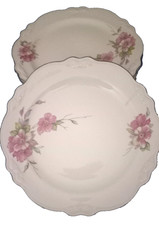 Homer laughlin dinner for sale  Lamar
