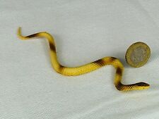 Snake serpent toy for sale  BLACKPOOL