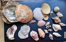 Collection various types for sale  KING'S LYNN