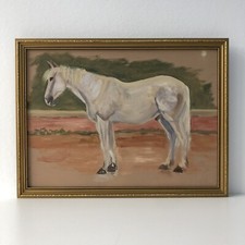 White stallion horse for sale  DEWSBURY