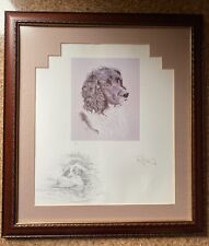 Springer spaniel ltd for sale  TAMWORTH