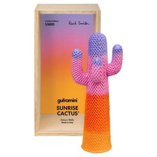 Cactus sunrise guframini usato  Arzignano