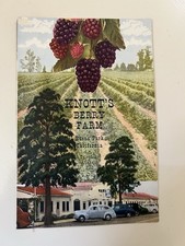 Knott berry farm for sale  Plano