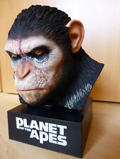 Planet affen caesars gebraucht kaufen  Hasel