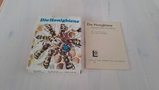 Ddr quartettspiel honigbiene gebraucht kaufen  Wolgast