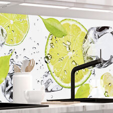 Küchenrückwand limetten eis gebraucht kaufen  Hamburg