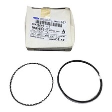 Piston ring 1031005 for sale  BELPER