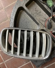 Griglia radiatore bmw usato  Cerro Maggiore