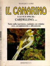 cardellino canarino usato  Brescia