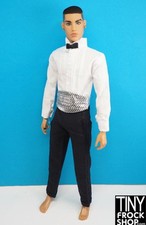 Fashion male doll for sale  Deerfield