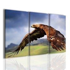 Quadri moderni 3pz. usato Quadri moderni 3pz. usato  Italia