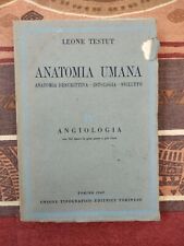 Leone testut anatomia usato  Alcamo