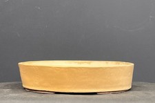 Bonsai bonsaischale xxl gebraucht kaufen Bonsai bonsaischale xxl gebraucht kaufen  Borstel-Hohenraden