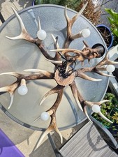 Retro brown antler for sale  NEWHAVEN