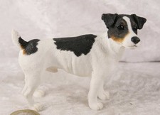 Unmarked jack russell for sale  CAMELFORD