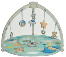 Activity play gym for sale  Frankfort