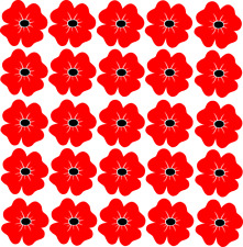 25x remembrance poppies for sale  NORTHAMPTON