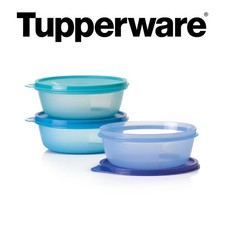 Tupperware große hitparade gebraucht kaufen  Neubrandenburg-Umland