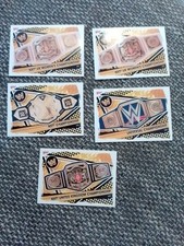 Trading cards wwe gebraucht kaufen  Schopfheim
